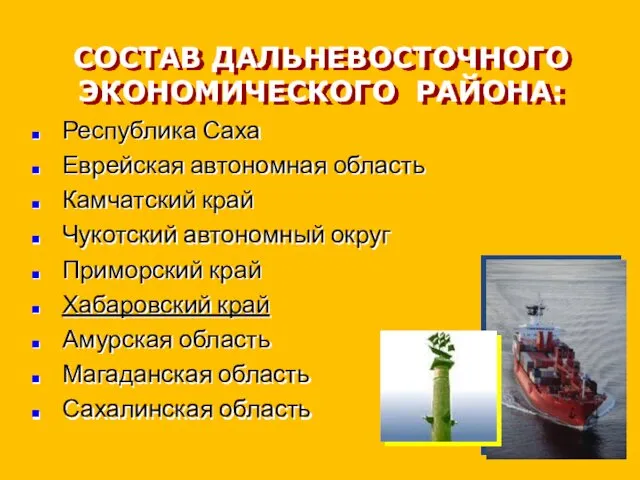 СОСТАВ ДАЛЬНЕВОСТОЧНОГО ЭКОНОМИЧЕСКОГО РАЙОНА: Республика Саха Еврейская автономная область Камчатский край