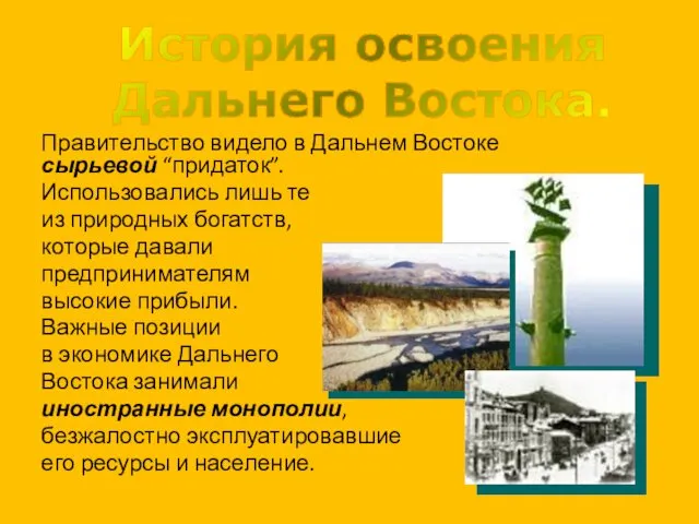 Правительство видело в Дальнем Востоке сырьевой “придаток”. Использовались лишь те из