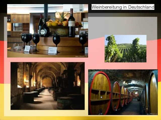 Weinbereitung in Deutschland