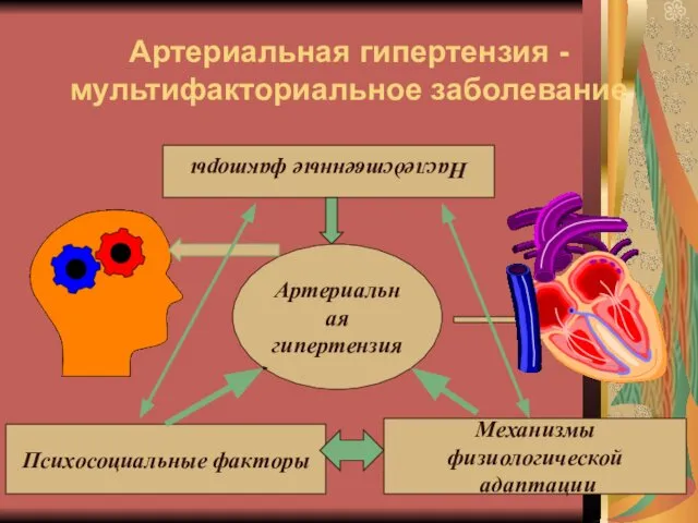 Артериальная гипертензия - мультифакториальное заболевание Наследственные факторы Артериальная гипертензия Психосоциальные факторы Механизмы физиологической адаптации