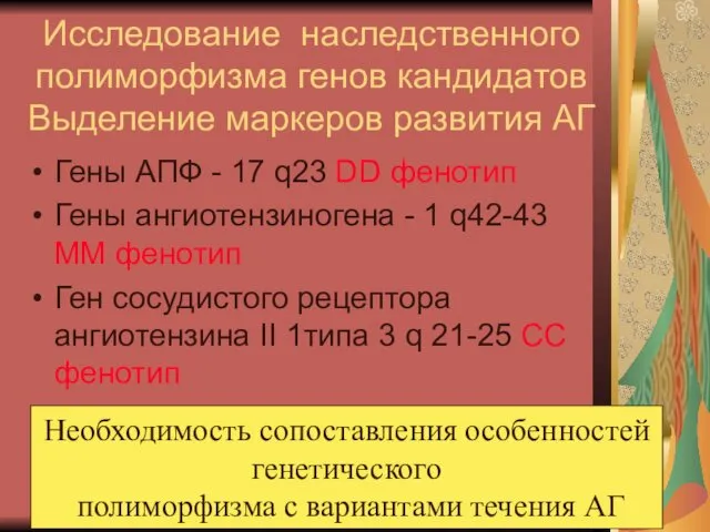 Исследование наследственного полиморфизма генов кандидатов Выделение маркеров развития АГ Гены АПФ