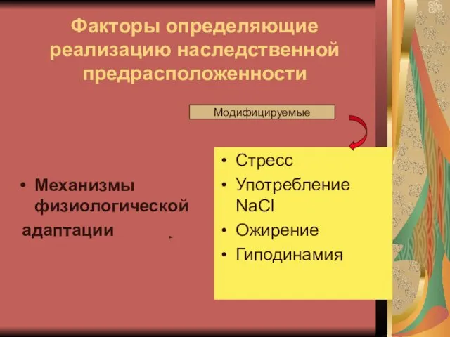 Факторы определяющие реализацию наследственной предрасположенности Механизмы физиологической адаптации Стресс Употребление NaCl Ожирение Гиподинамия Модифицируемые