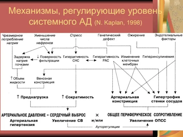 Механизмы, регулирующие уровень системного АД (N. Kaplan, 1998)