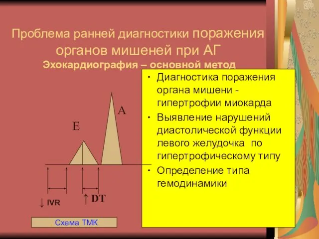 Проблема ранней диагностики поражения органов мишеней при АГ Эхокардиография – основной