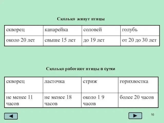 Сколько живут птицы Сколько работают птицы в сутки