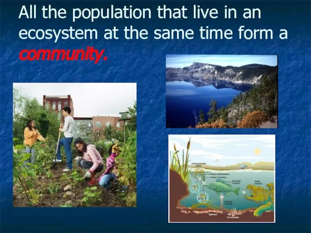 All the population that live in an ecosystem at the same time form a community.