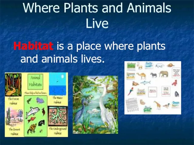 Where Plants and Animals Live Habitat is a place where plants and animals lives.