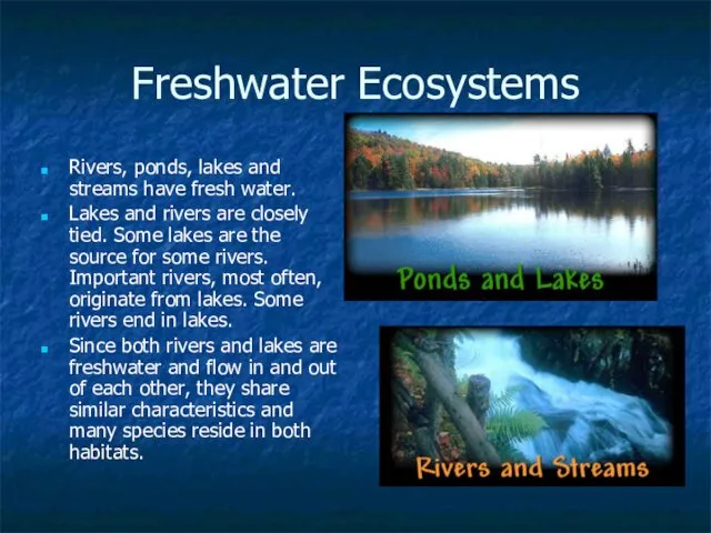 Freshwater Ecosystems Rivers, ponds, lakes and streams have fresh water. Lakes