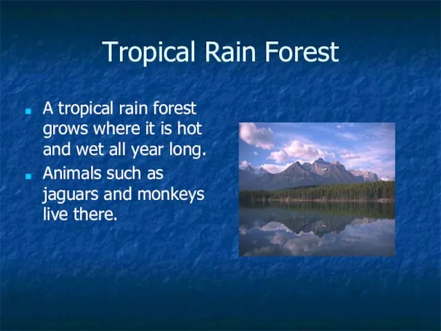 Tropical Rain Forest A tropical rain forest grows where it is