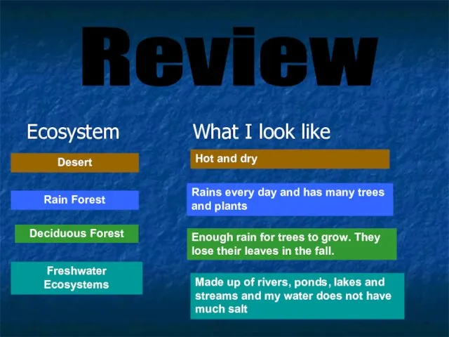 Ecosystem What I look like Review Desert Rain Forest Rains every