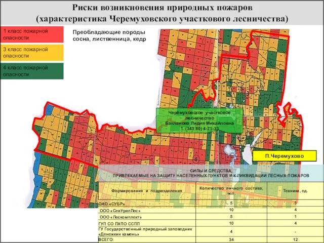 Риски возникновения природных пожаров (характеристика Черемуховского участкового лесничества) 1 класс пожарной