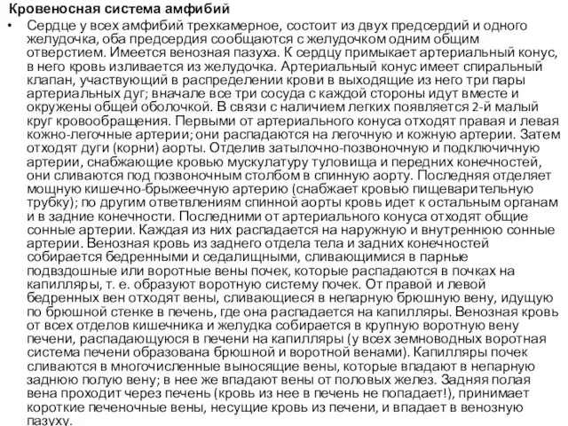 Кровеносная система амфибий Сердце у всех амфибий трехкамерное, состоит из двух