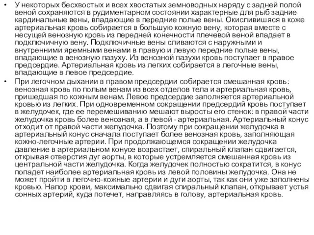 У некоторых бесхвостых и всех хвостатых земноводных наряду с задней полой