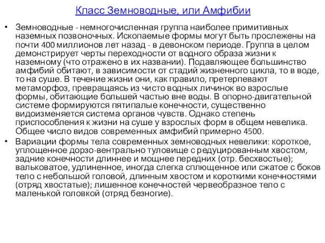 Класс Земноводные, или Амфибии Земноводные - немногочисленная группа наиболее примитивных наземных