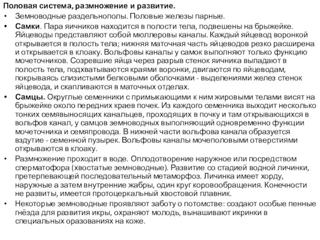 Половая система, размножение и развитие. Земноводные раздельнополы. Половые железы парные. Самки.