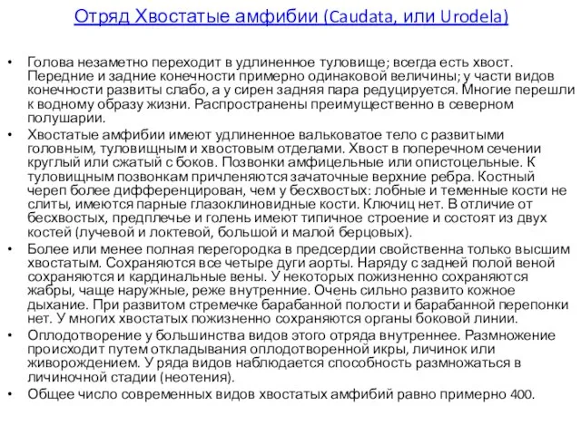 Отряд Хвостатые амфибии (Caudata, или Urodela) Голова незаметно переходит в удлиненное