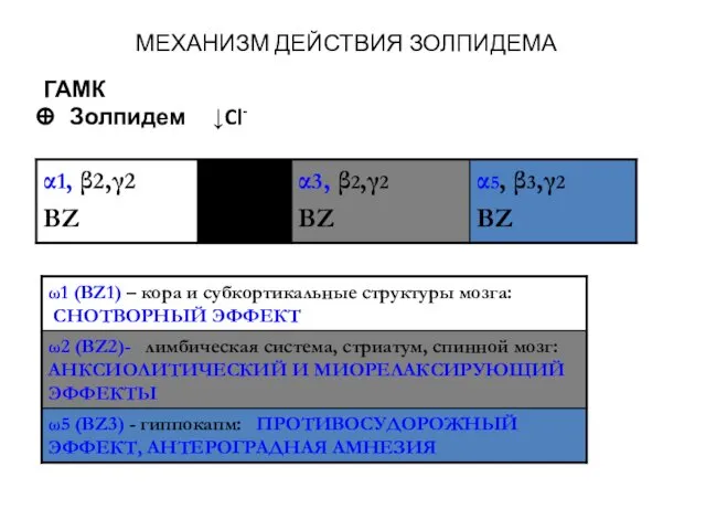 МЕХАНИЗМ ДЕЙСТВИЯ ЗОЛПИДЕМА ГАМК Золпидем ↓Cl-