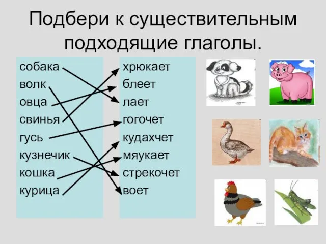 Подбери к существительным подходящие глаголы. собака волк овца свинья гусь кузнечик