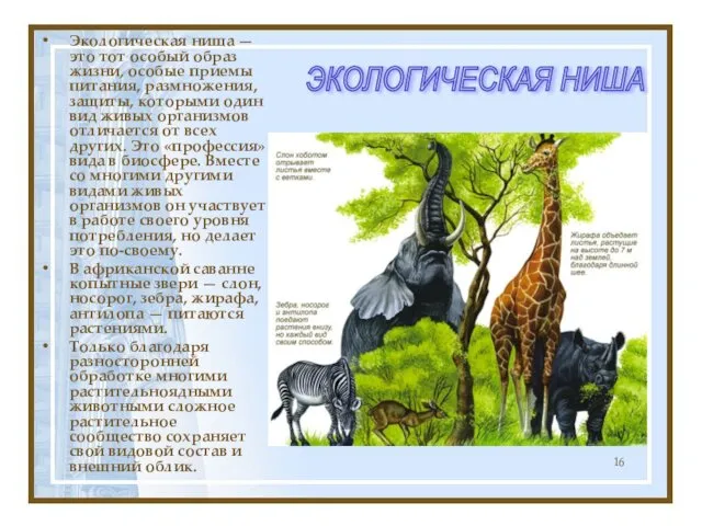 Экологическая ниша — это тот особый образ жизни, особые приемы питания,