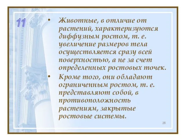 Животные, в отличие от растений, характеризуются диффузным ростом, т. е. увеличение