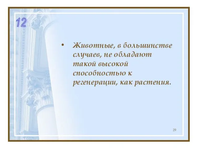 Животные, в большинстве случаев, не обладают такой высокой способностью к регенерации, как растения. 12