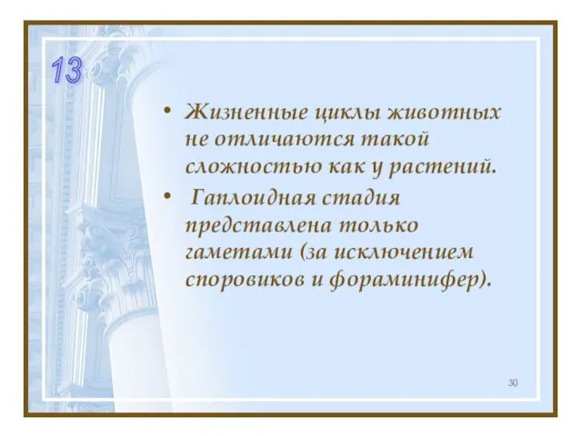 Жизненные циклы животных не отличаются такой сложностью как у растений. Гаплоидная