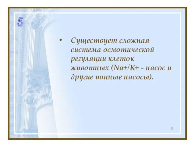 Существует сложная система осмотической регуляции клеток животных (Na+/K+ - насос и другие ионные насосы). 5