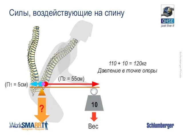 SIPP Mar 2006 Силы, воздействующие на спину Вес (П1 = 5см)