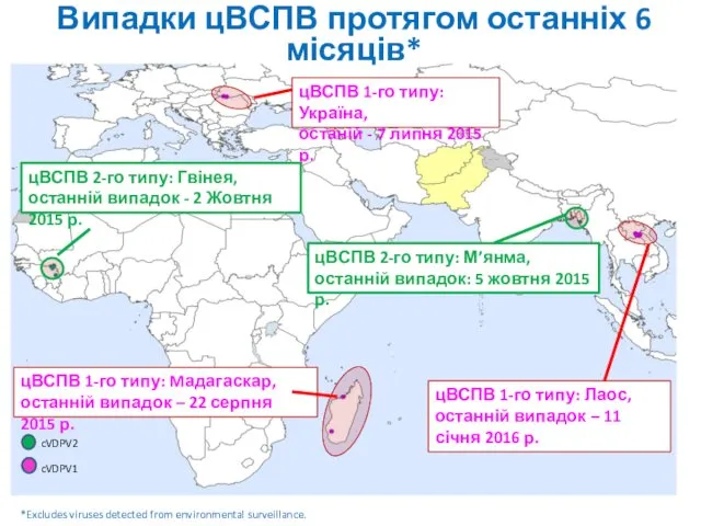 Випадки цВСПВ протягом останніх 6 місяців* cVDPV2 cVDPV1 *Excludes viruses detected