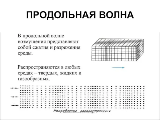 ПРОДОЛЬНАЯ ВОЛНА