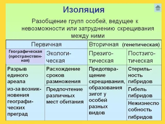 Географическая (пространствен-ная)