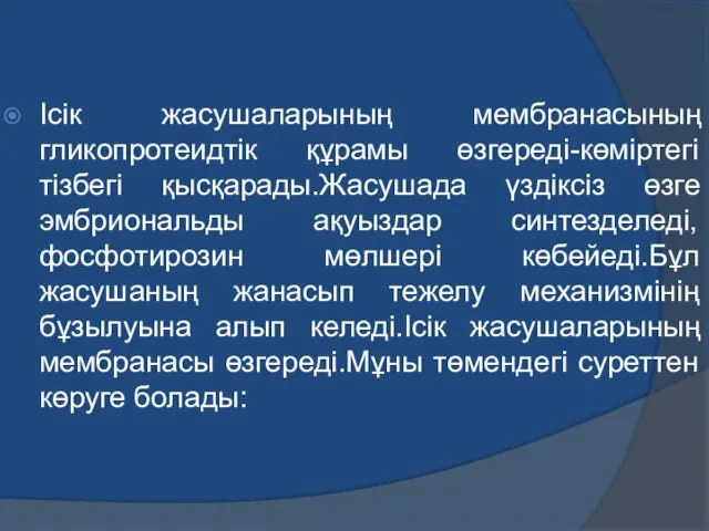 Ісік жасушаларының мембранасының гликопротеидтік құрамы өзгереді-көміртегі тізбегі қысқарады.Жасушада үздіксіз өзге эмбриональды