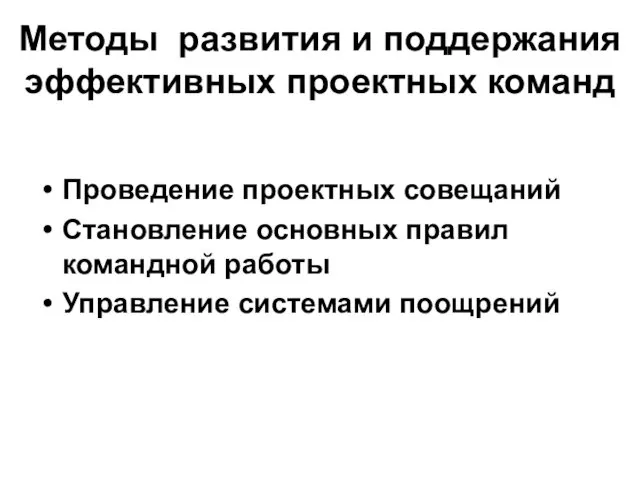 Методы развития и поддержания эффективных проектных команд Проведение проектных совещаний Становление