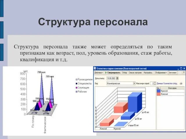 Структура персонала Структура персонала также может определяться по таким признакам как