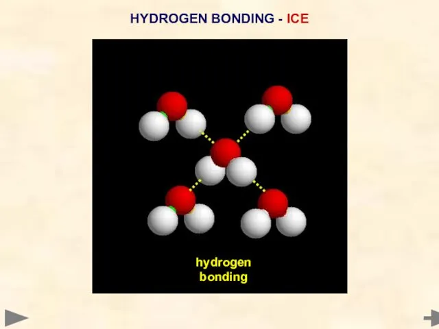 HYDROGEN BONDING - ICE hydrogen bonding