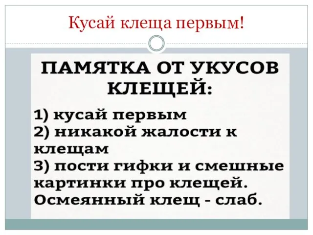 Кусай клеща первым!