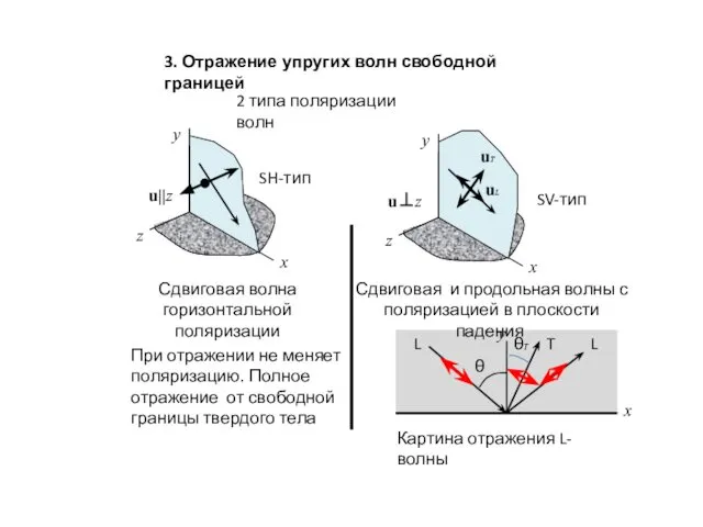 3. Отражение упругих волн свободной границей 2 типа поляризации волн Сдвиговая