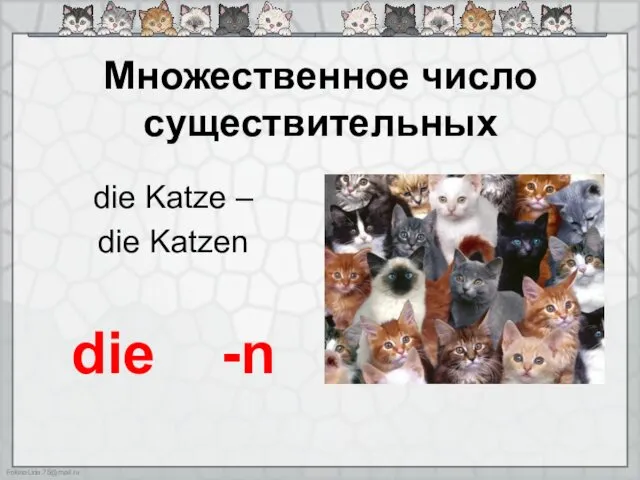 Множественное число существительных die Katze – die Katzen die -n