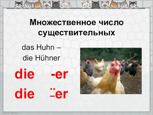 Множественное число существительных das Huhn – die Hühner die -er die ¨er