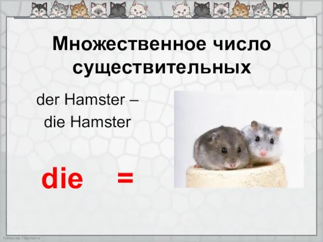 Множественное число существительных der Hamster – die Hamster die =