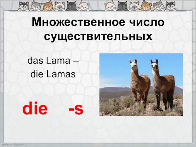 Множественное число существительных das Lama – die Lamas die -s