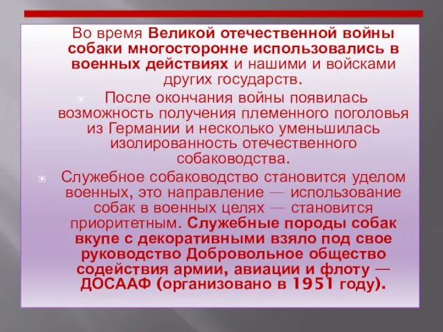 Во время Великой отечественной войны собаки многосторонне использовались в военных действиях