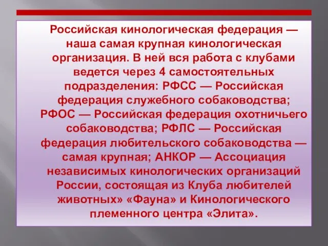 Российская кинологическая федерация — наша самая крупная кинологическая организация. В ней