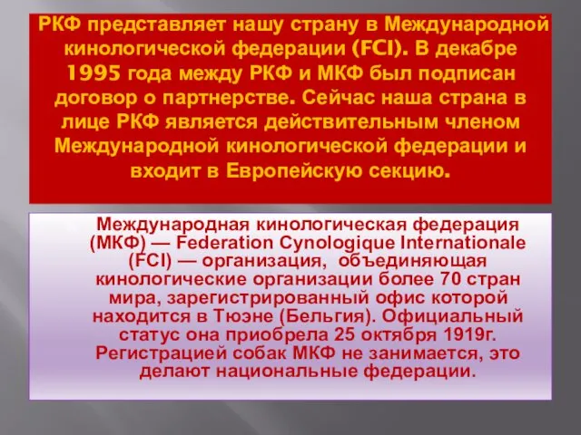 РКФ представляет нашу страну в Международной кинологической федерации (FCI). В декабре