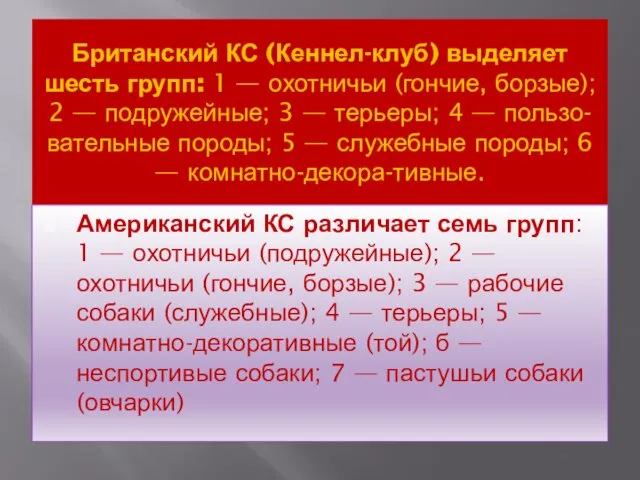 Британский КС (Кеннел-клуб) выделяет шесть групп: 1 — охотничьи (гончие, борзые);