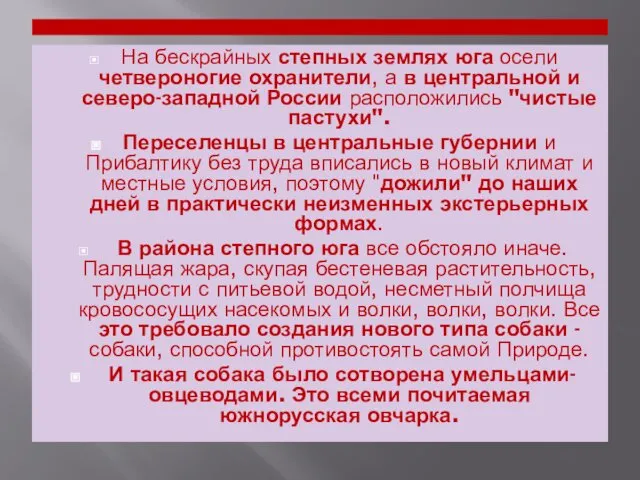 На бескрайных степных землях юга осели четвероногие охранители, а в центральной