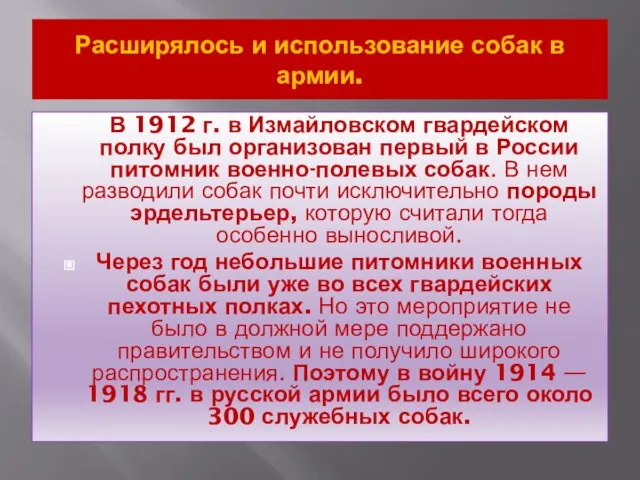 Расширялось и использование собак в армии. В 1912 г. в Измайловском