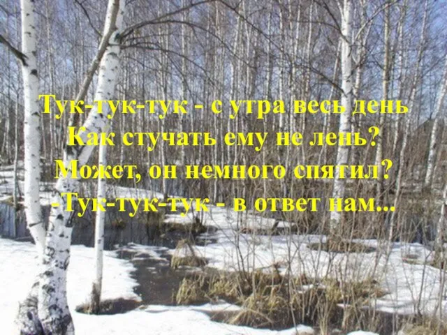 Тук-тук-тук - с утра весь день Как стучать ему не лень?