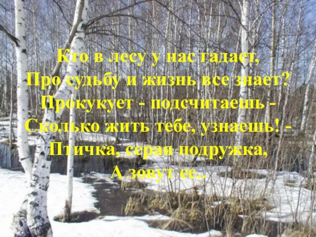 Кто в лесу у нас гадает, Про судьбу и жизнь все