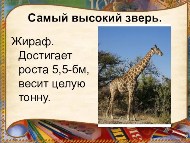 Самый высокий зверь. Жираф. Достигает роста 5,5-бм, весит целую тонну.